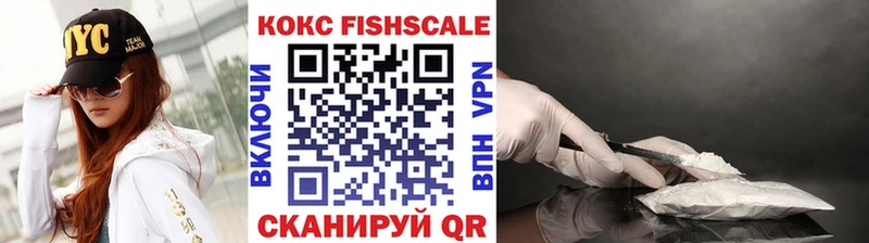 Кокаин Fish Scale  закладка  Тбилисская 