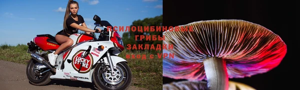 трава Протвино