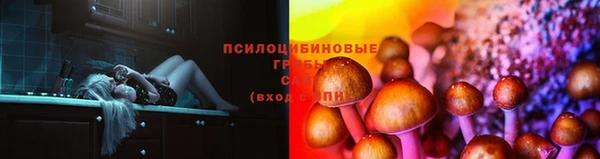 мяу мяу мука Покров