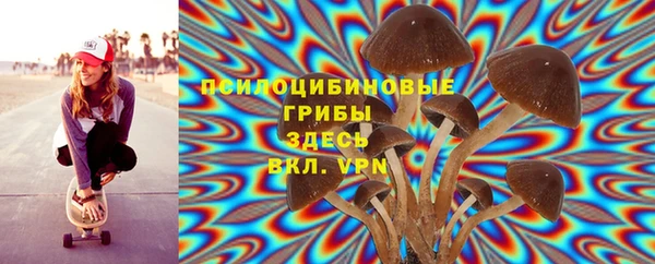 мдма Пролетарск