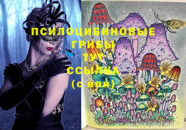 трава Протвино