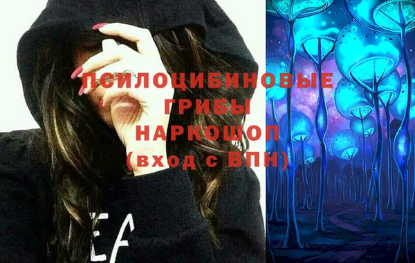 мяу мяу мука Покров