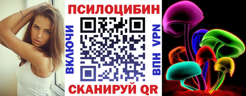 Псилоцибиновые грибы Magic Shrooms  закладка  Тбилисская 